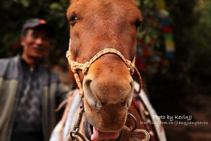 Lijiang ancient town, the home of Naxi people