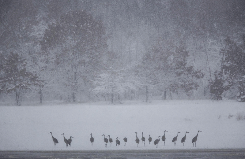 World winter wonderland