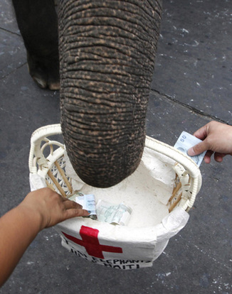 Thai elephants help collect money for Haiti