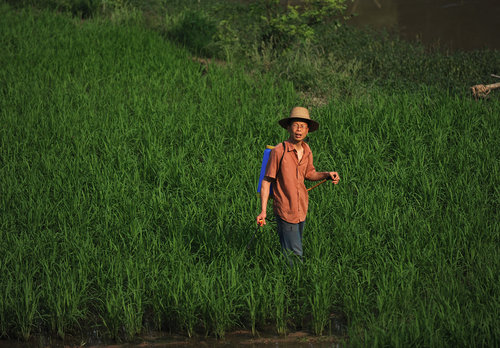 37-year-old farmer sows the seeds of singing success