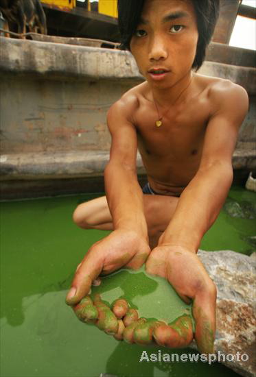 Blue-green algae emerges in Chaohu Lake