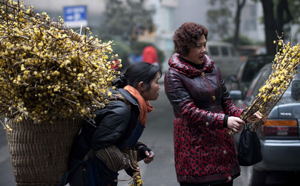 Selling wintersweet to holiday buyers