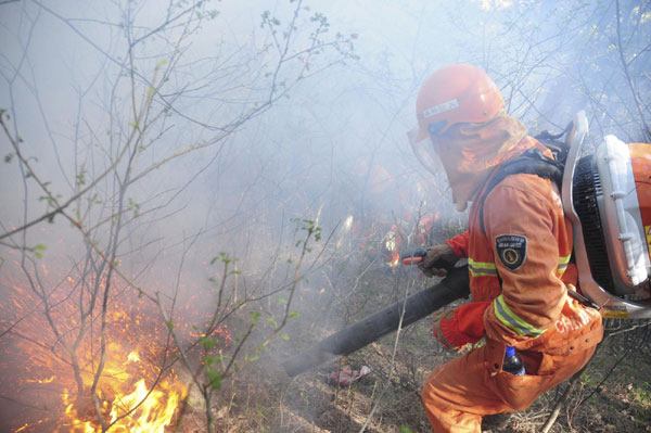 Forest fire put out in NE China