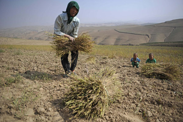 Breaking poverty in China's villages