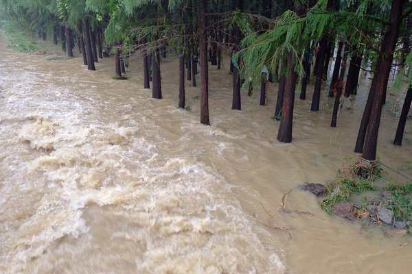 Storm lands in E China, triggering flood