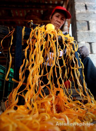 Harvest time for persimmons, South China