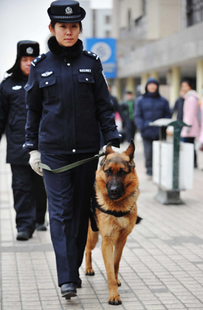 Police dogs help keep railway stations safe