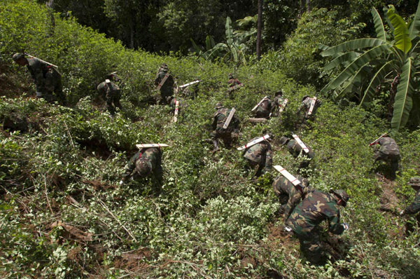 The 'war' on coca in Bolivia