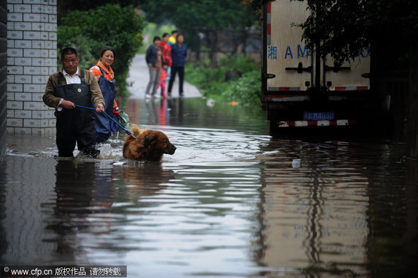 Heavy rain falls on C China city