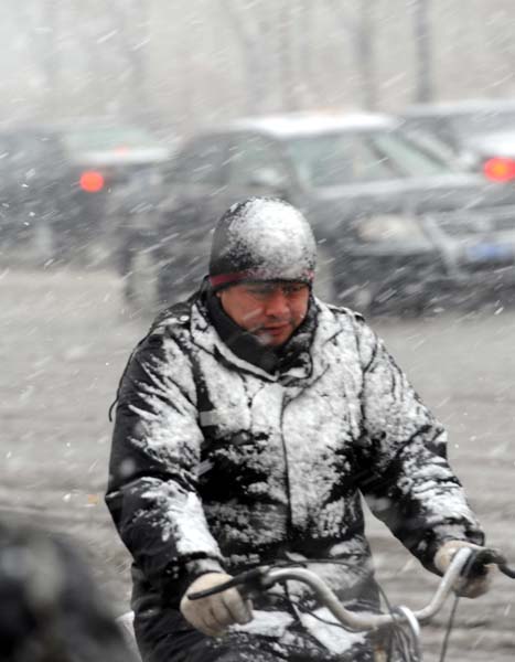 Snowfall hits NE China's Harbin