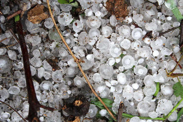 Hailstorm hits SW China's Guizhou province