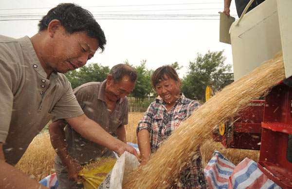 Harvest time for wheat farmers