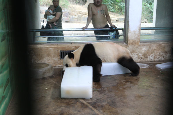 Keeping animals cool during heat wave