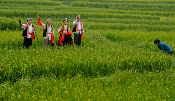 Old farmers form folk band