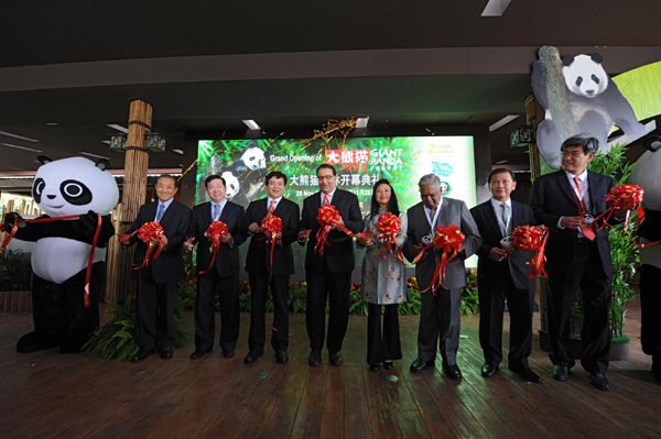 2 giant pandas debut in Singapore