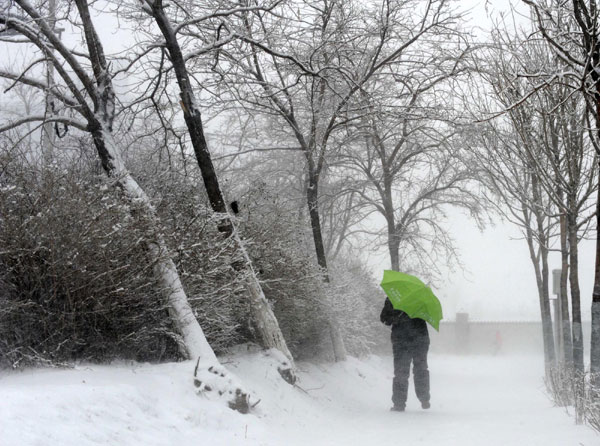 Blizzard hits Shenyang in NE China