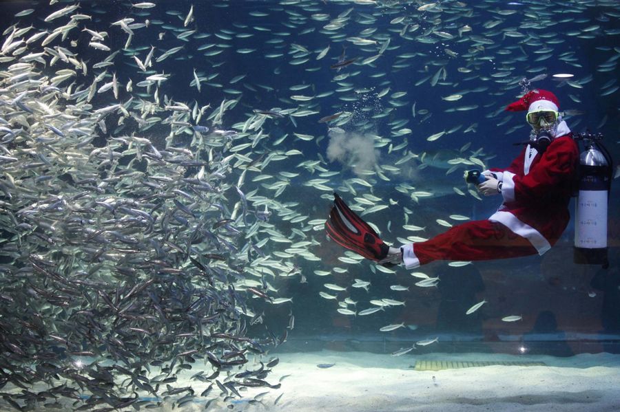 Photo special: Santa Claus gets around