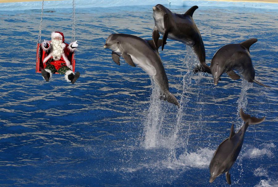 Photo special: Santa Claus gets around