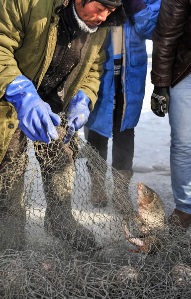 Spectacular ice fishing event in NE China