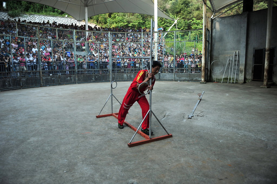 Behind the scenes at animal circus