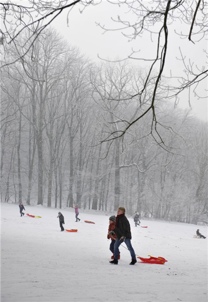 Beautiful rime scenery in Brussels