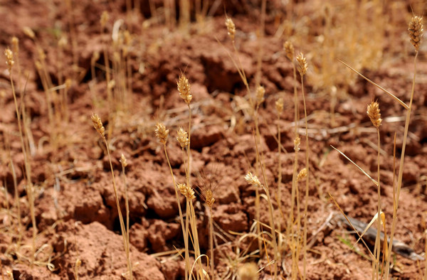 Severe drought hits Southwest China