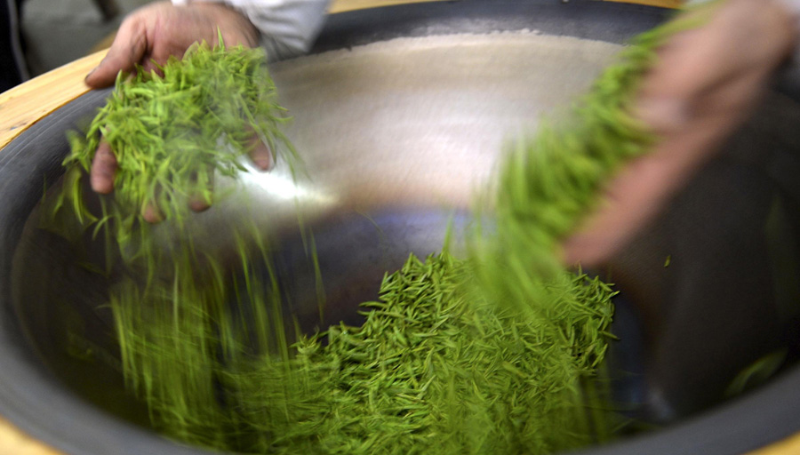 Making of Wujiatai tea from C China