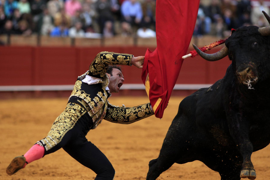 Bullfight, a tradition of Spain