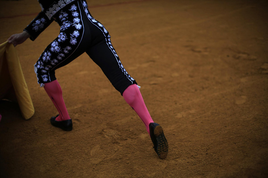 Bullfight, a tradition of Spain