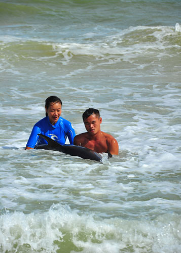 Injured dolphin rescued in Hainan