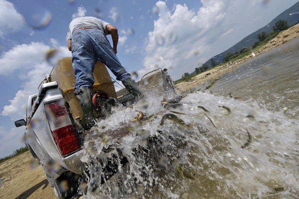 Fish rescued after lake dried up