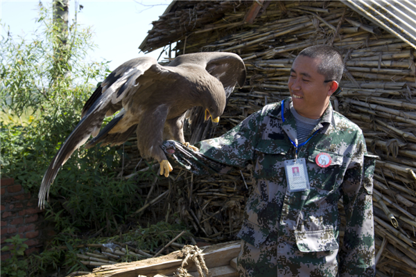 Ancient beauty of falconry protected 