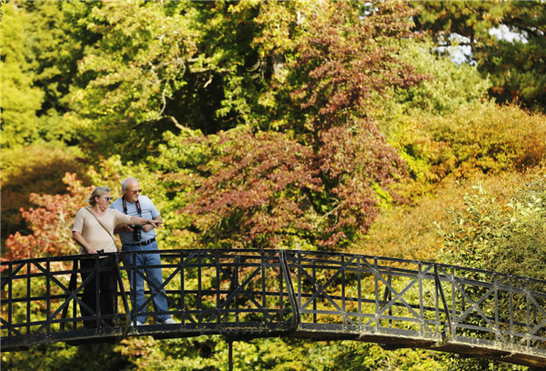 Autumn colors in Southern England