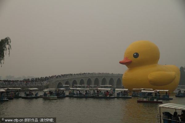 Trials and tribulations of rubber duck