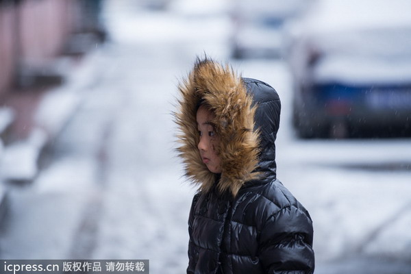 Blizzard batters traffic in NE China