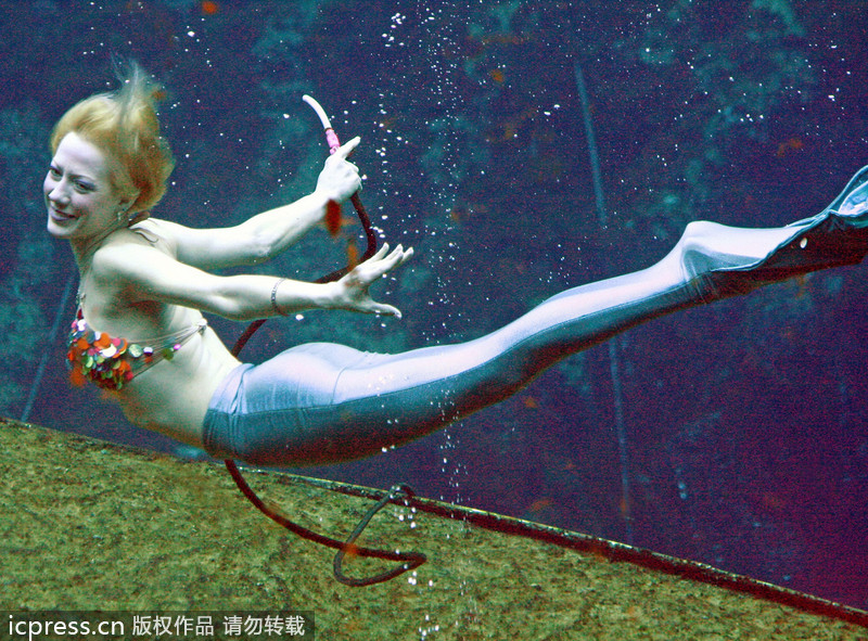 Mermaids mesmerize visitors