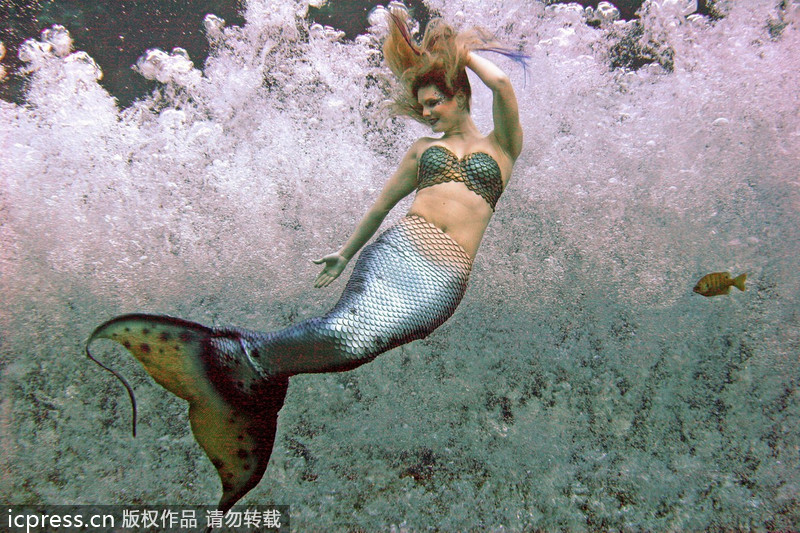 Mermaids mesmerize visitors