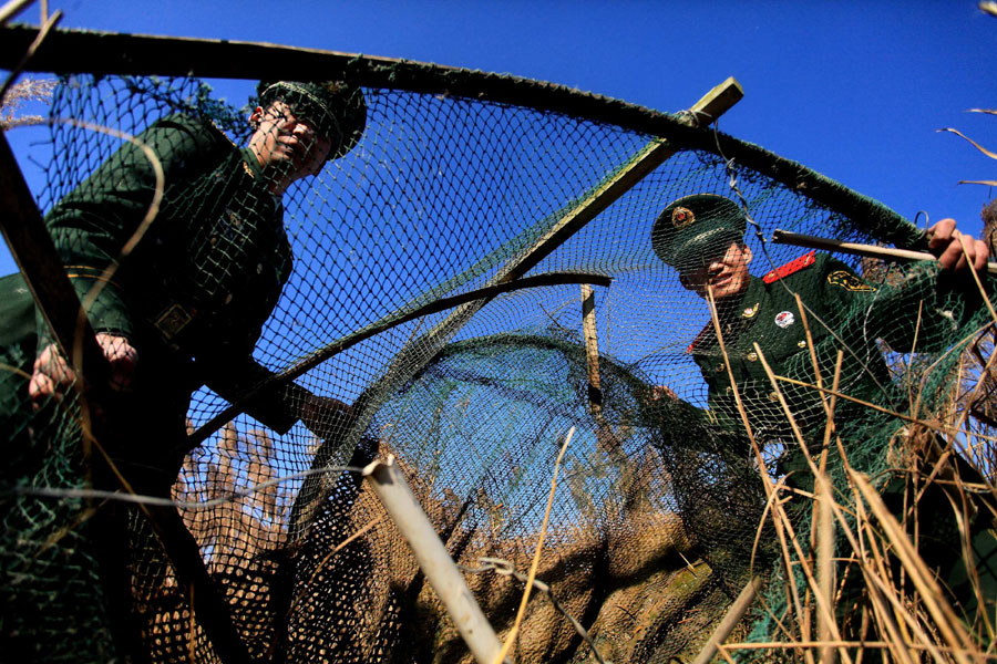 Paradise for migratory birds in E China