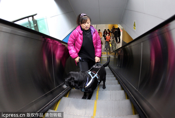 Chengdu metro welcomes 1st guide dog