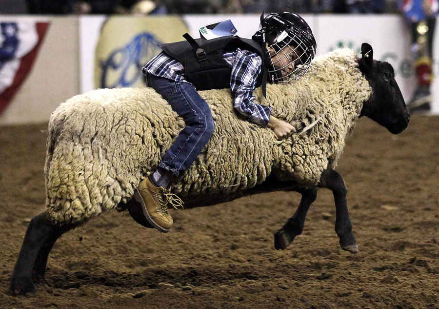 Young riders reign at US stock show