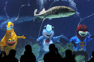 Surprising underwater proposal on Valentine's Day