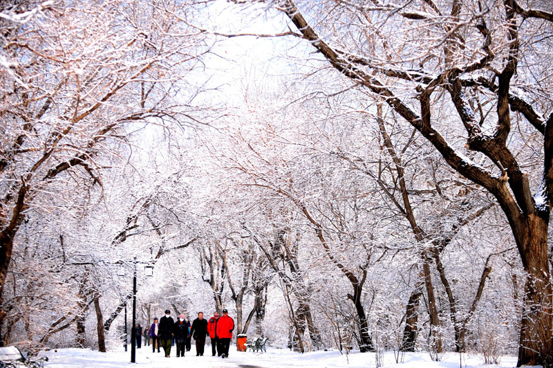 Heavy snowfall hits most parts of Liaoning