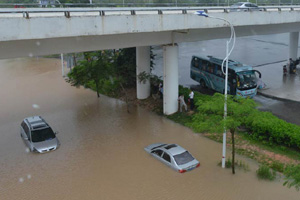 Fish going free as E China floodgates open