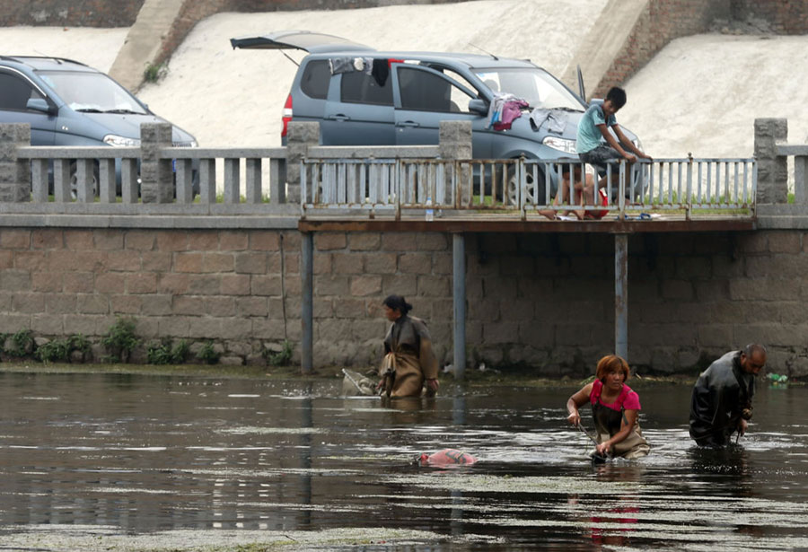 The worm catcher in the river