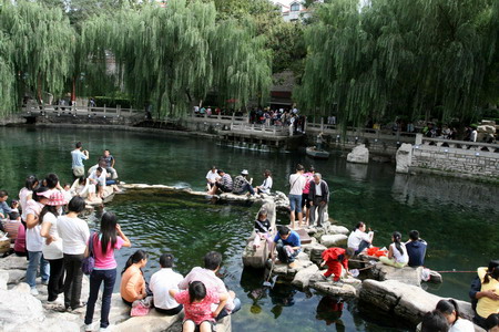 Get close to the springs by boat