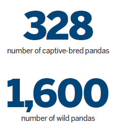 Pandas set to take a walk on the wild side