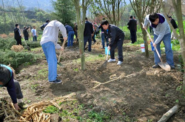 市規(guī)劃局義務(wù)植樹添新綠