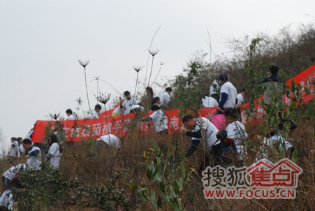 “打造綠色家園建設城市繁華”植樹活動啟幕