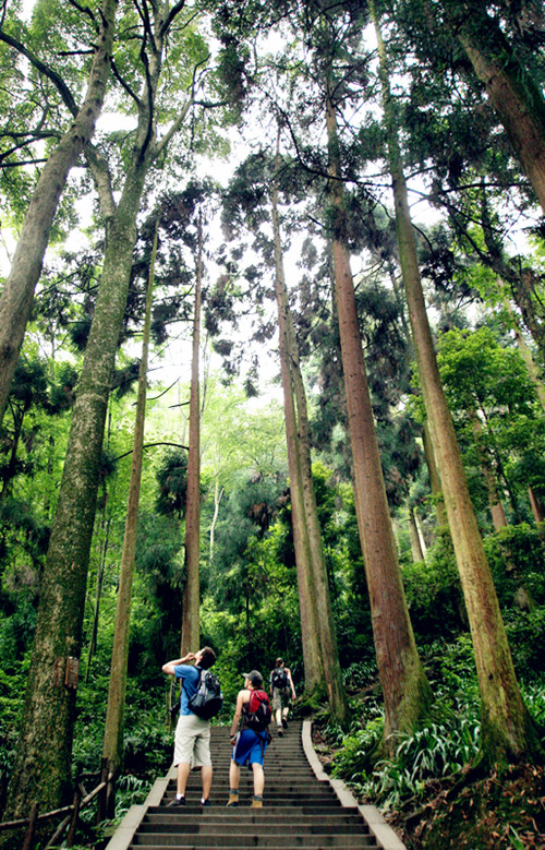 Qingcheng Mountain