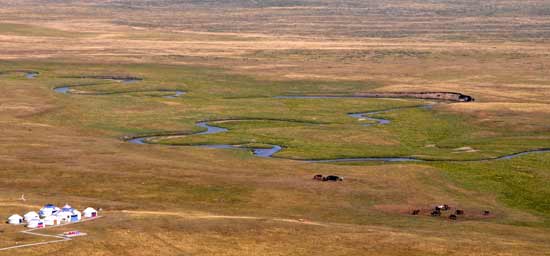 A green barrier is built among herdsmen to protect grassland ecosystem